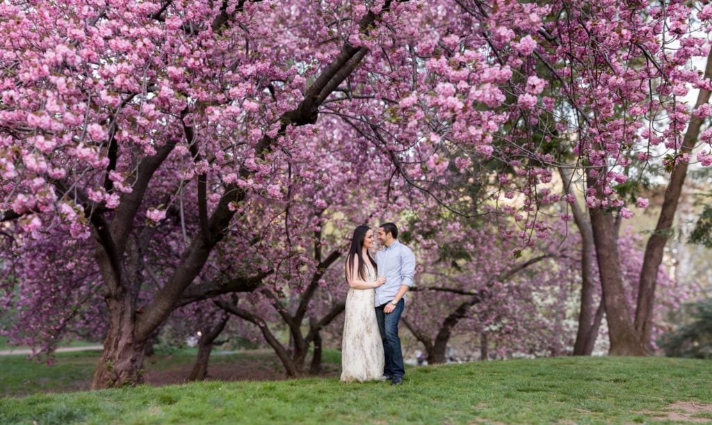 IN FULL BLOOM! ENGAGEMENT AT CENTRAL PARK Engagement Session at Central Park by Destination Wedding Photographer Camille Fontz