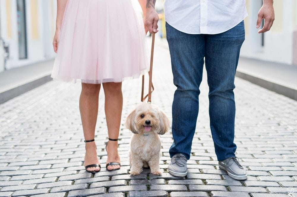 Engagement photo session in the colorful streets of Old San Juan with dogs by Camille Fontanez, puerto rico wedding photographer