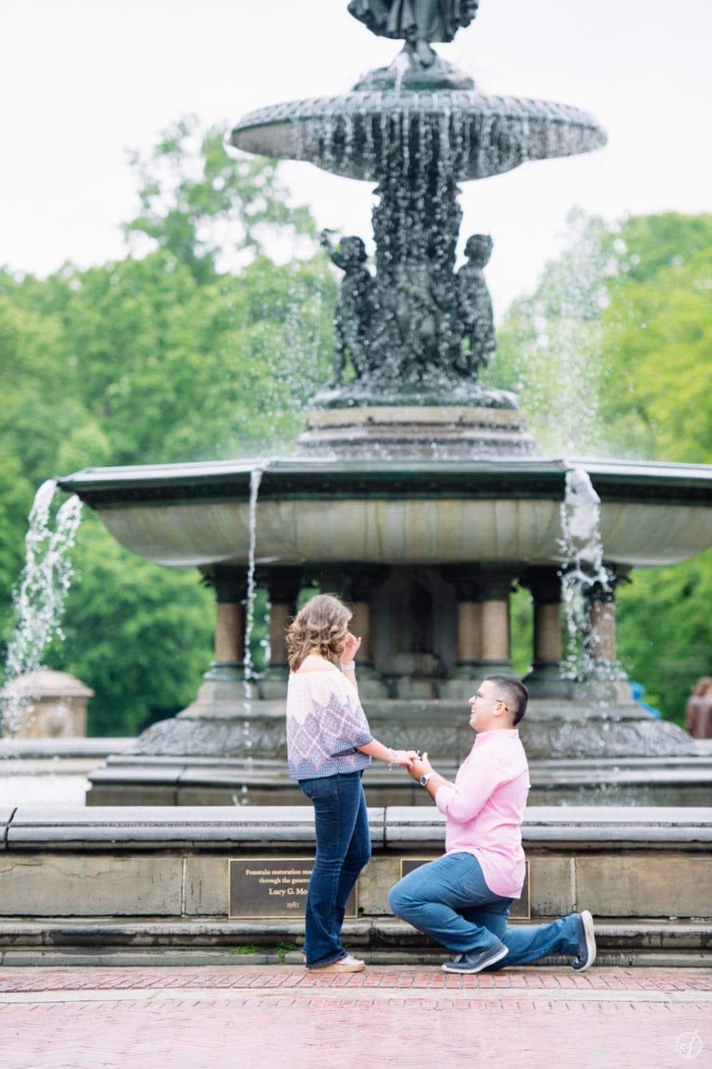 Marriage Proposal at Bethesda Terrace in Central Park.