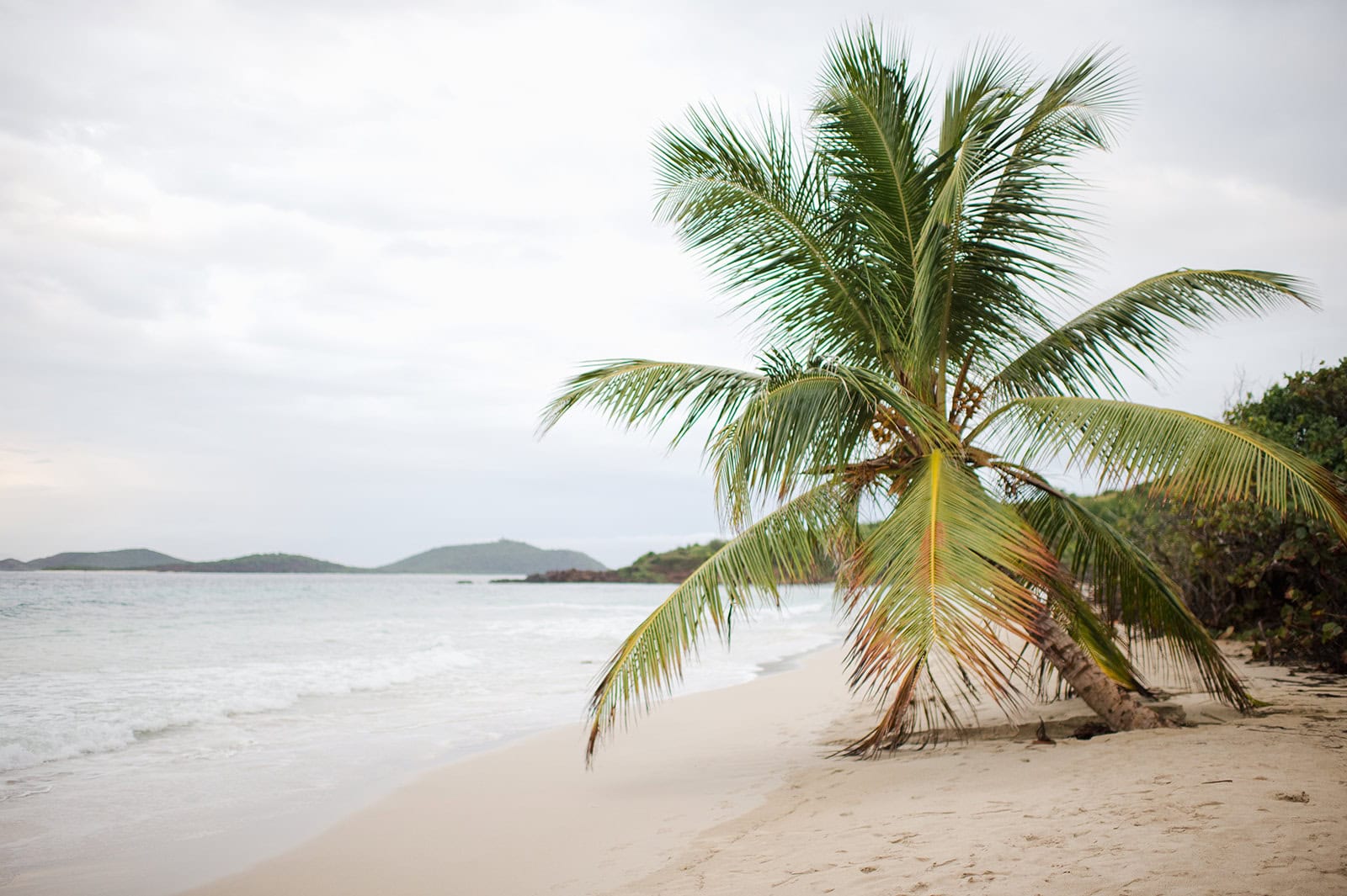 surprise marriage proposal photography in Zoni Beach, Culebra Puerto Rico