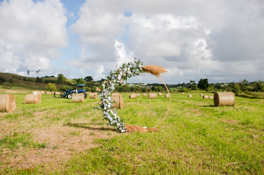 Fotografia de micro boda en finca de vacas en Camuy, Puerto Rico