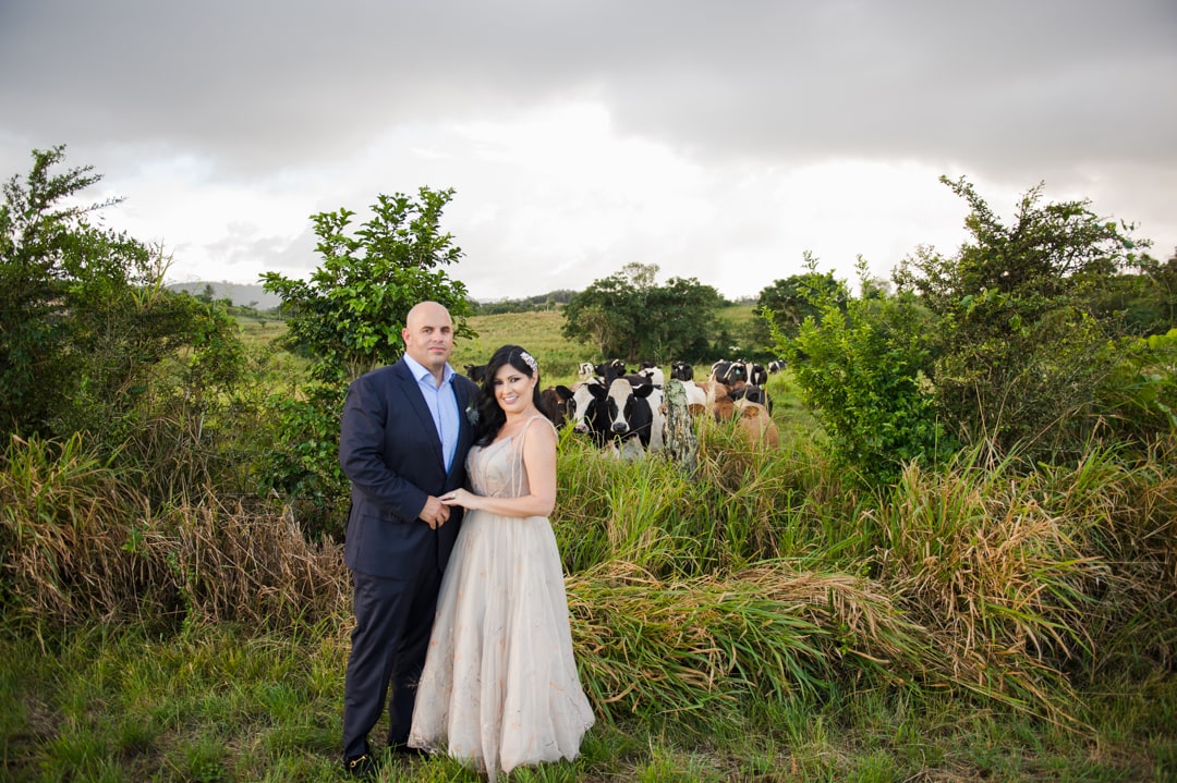 Fotografia de micro boda en finca de vacas en Camuy, Puerto Rico