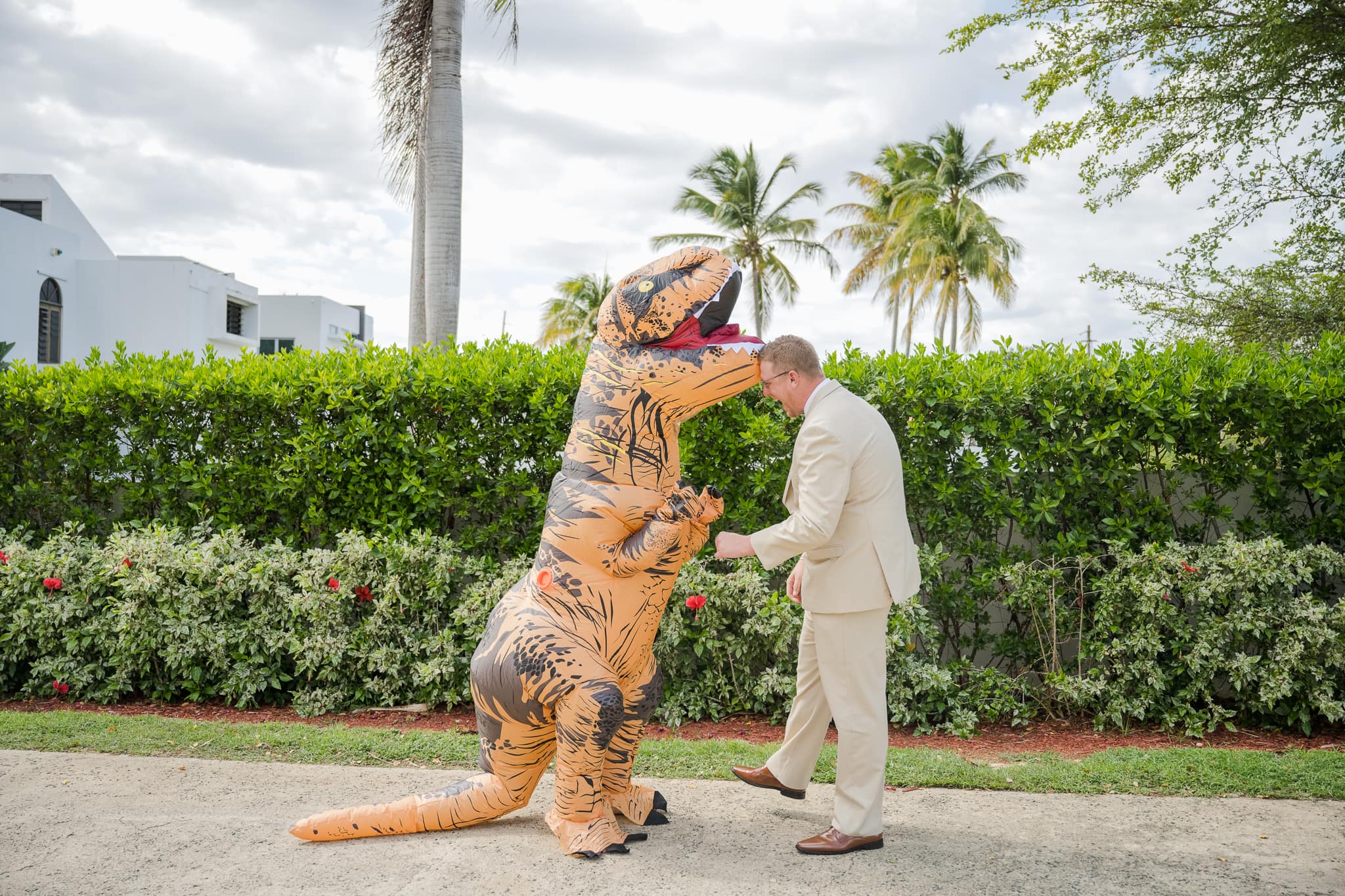 dinosaur costume on first look for wedding photos