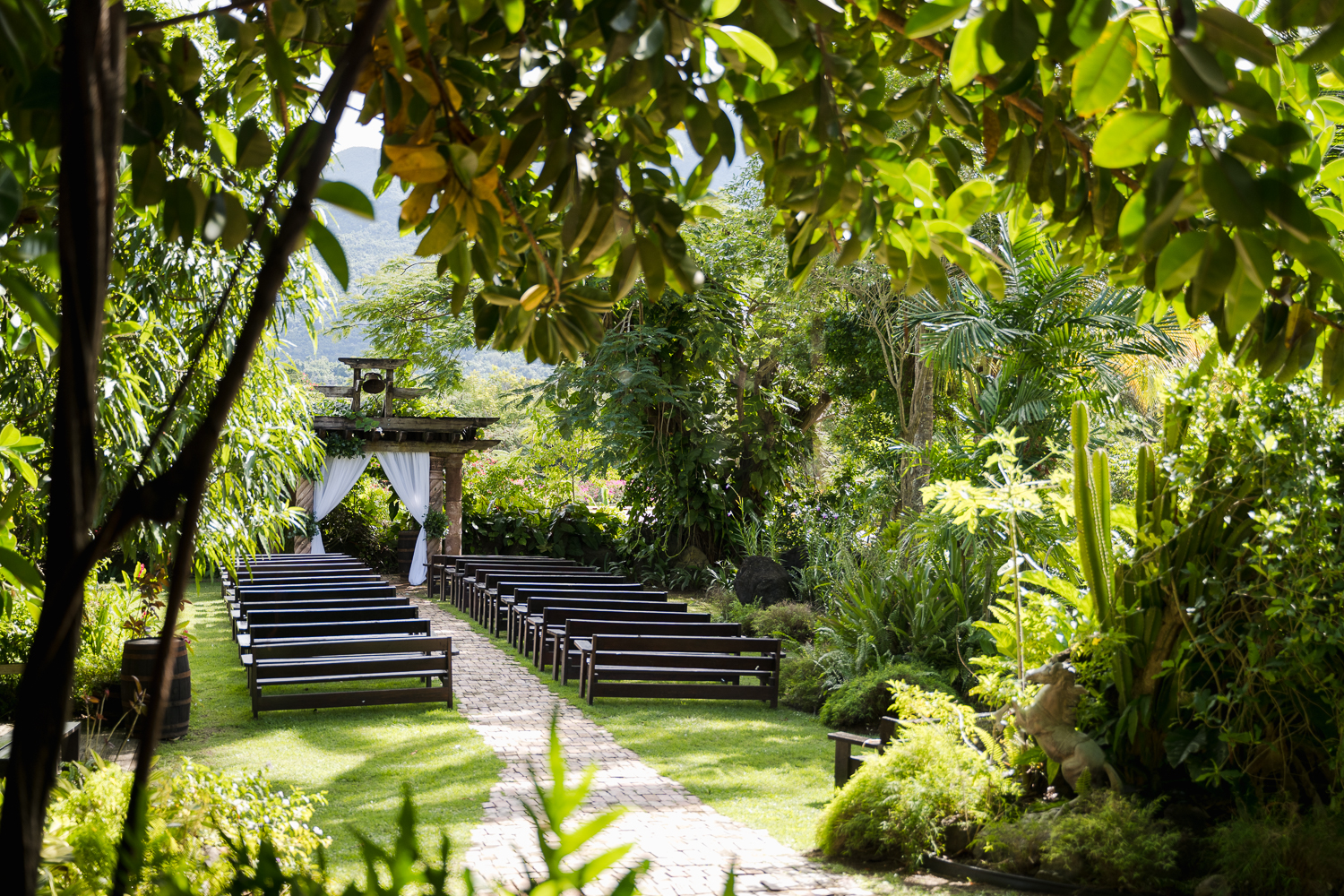 Boda doble y bodas de oro en Hacienda Siesta Alegre, Puerto Rico