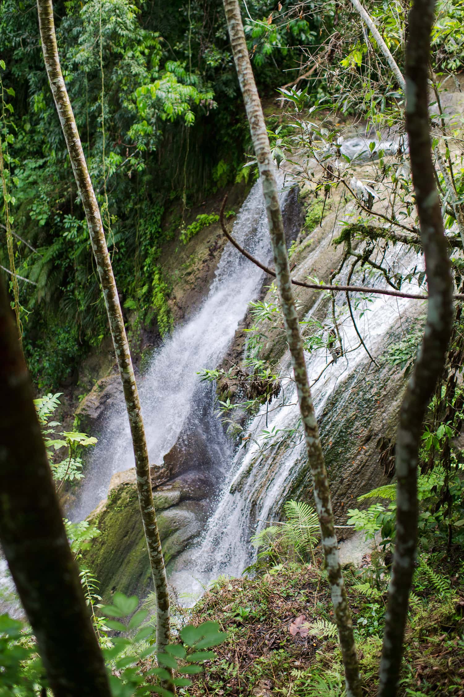 intimate elopement wedding photos at Cascada Gozalandia Falls in San Sebastian Puerto Rico