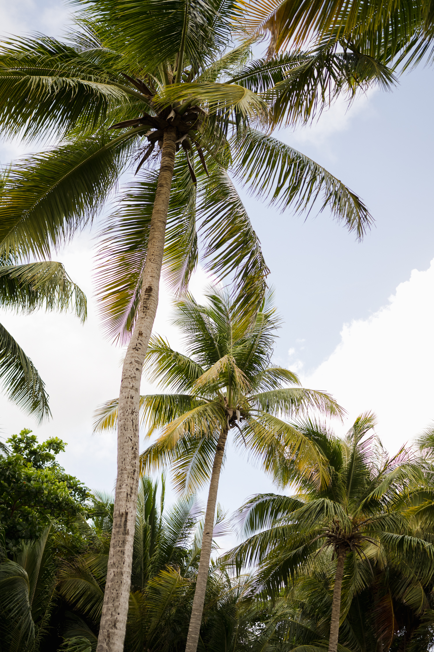 Luquillo beach elopement in punta bandera beach puerto rico