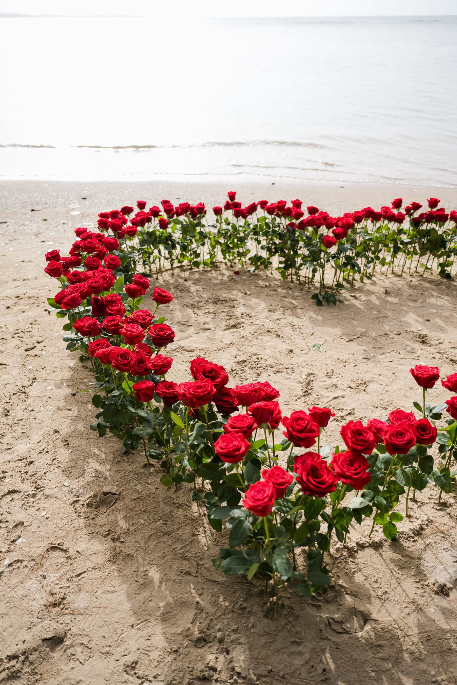 beach marriage proposal setup in Hyatt Regency Grand Reserve, Puerto Rico