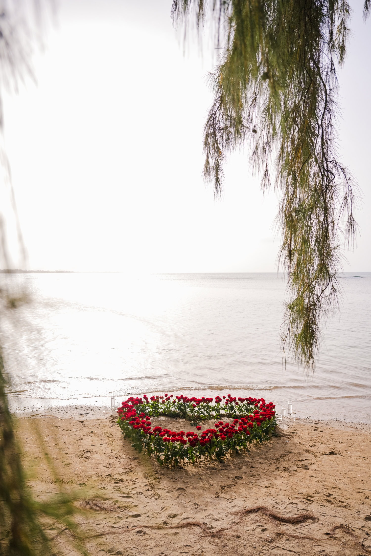 beach marriage proposal setup in Hyatt Regency Grand Reserve, Puerto Rico