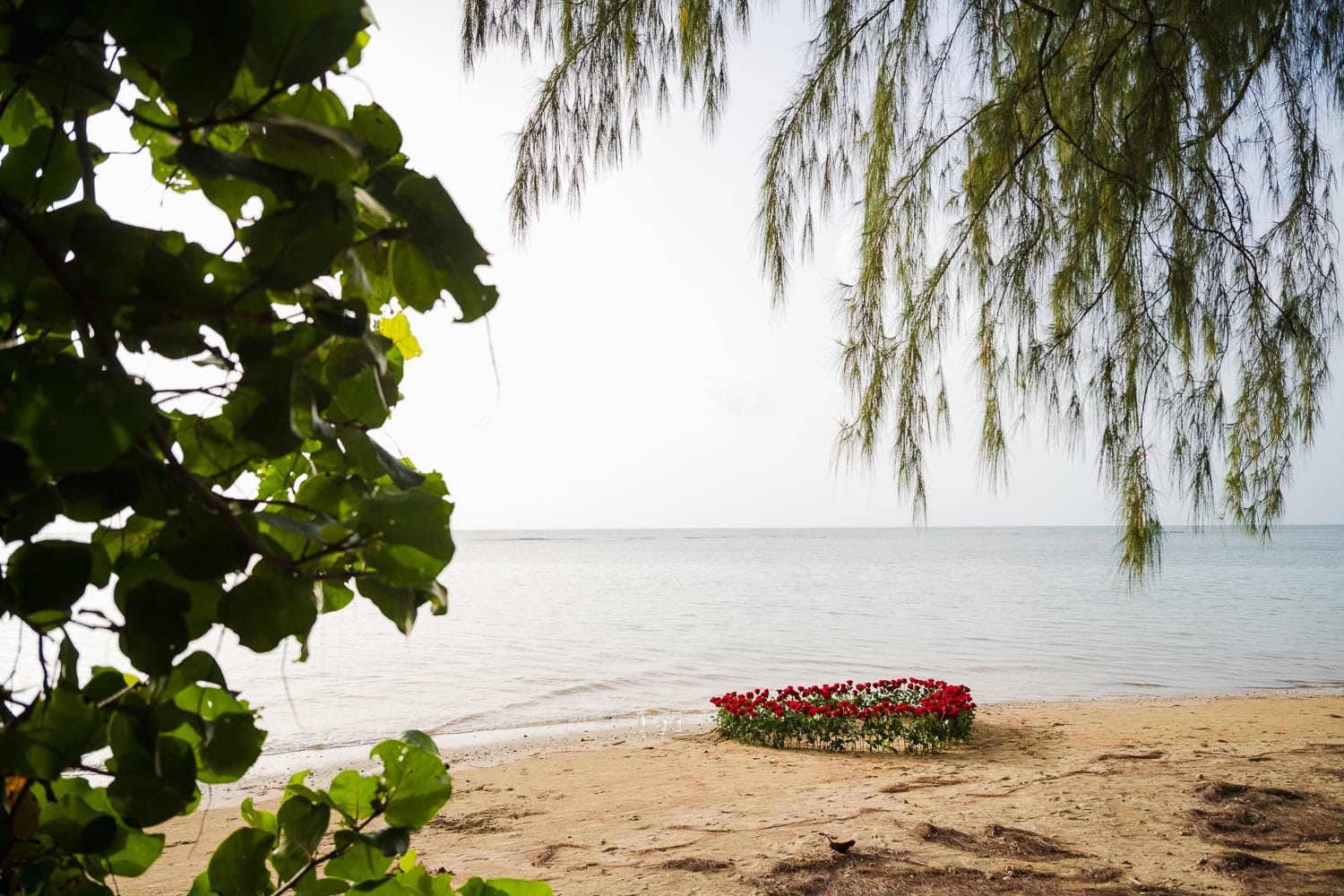 beach marriage proposal setup in Hyatt Regency Grand Reserve, Puerto Rico