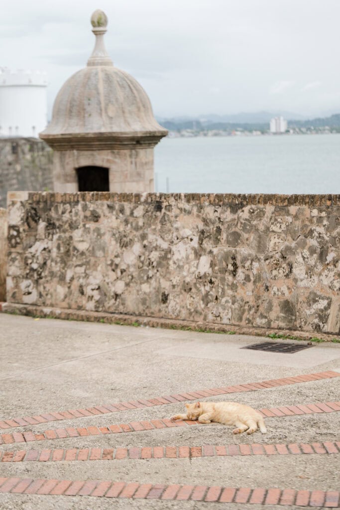 hotel el convento destination wedding photography puerto rico