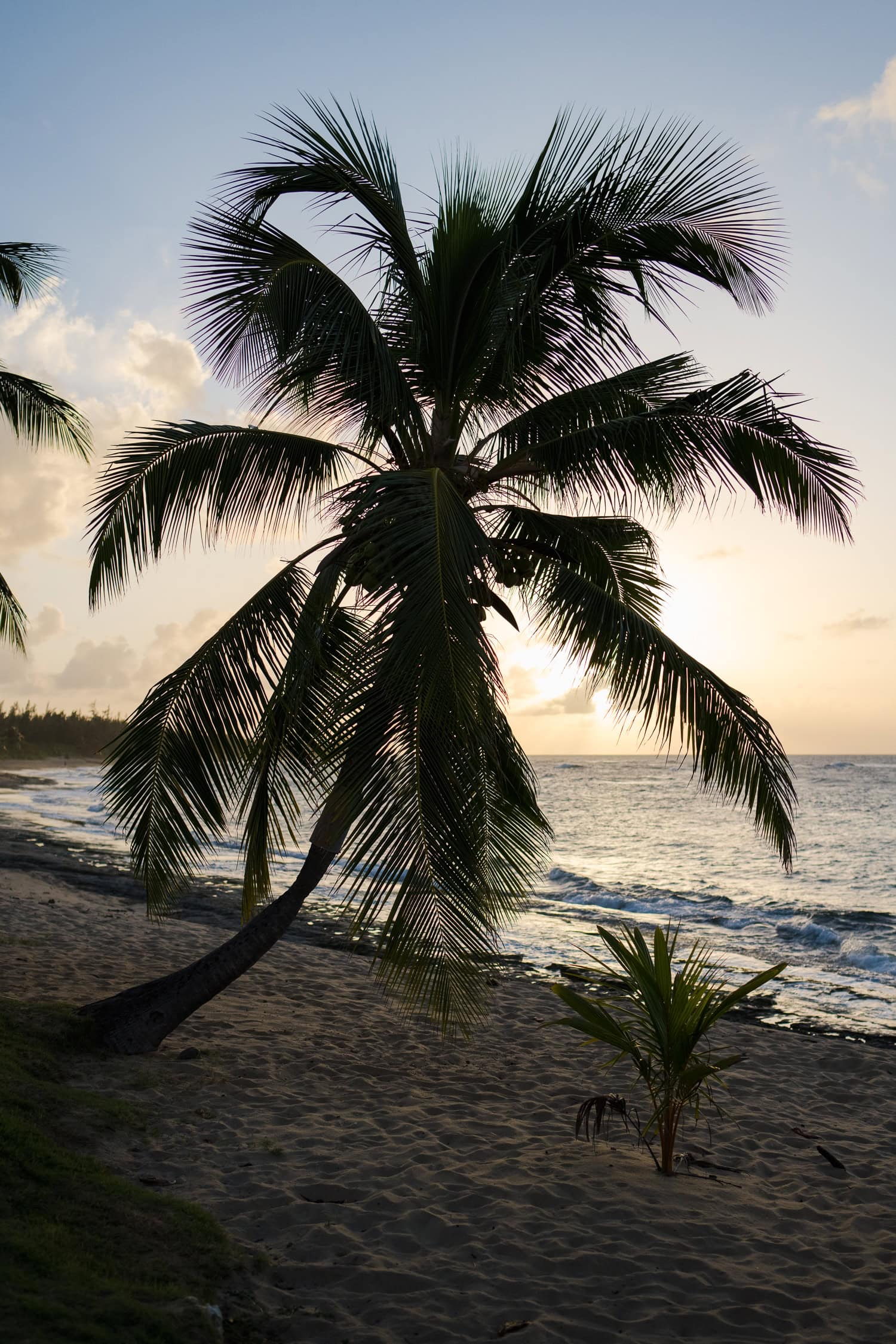 sunset elopement at villa montana beach resort in isabela, puerto rico