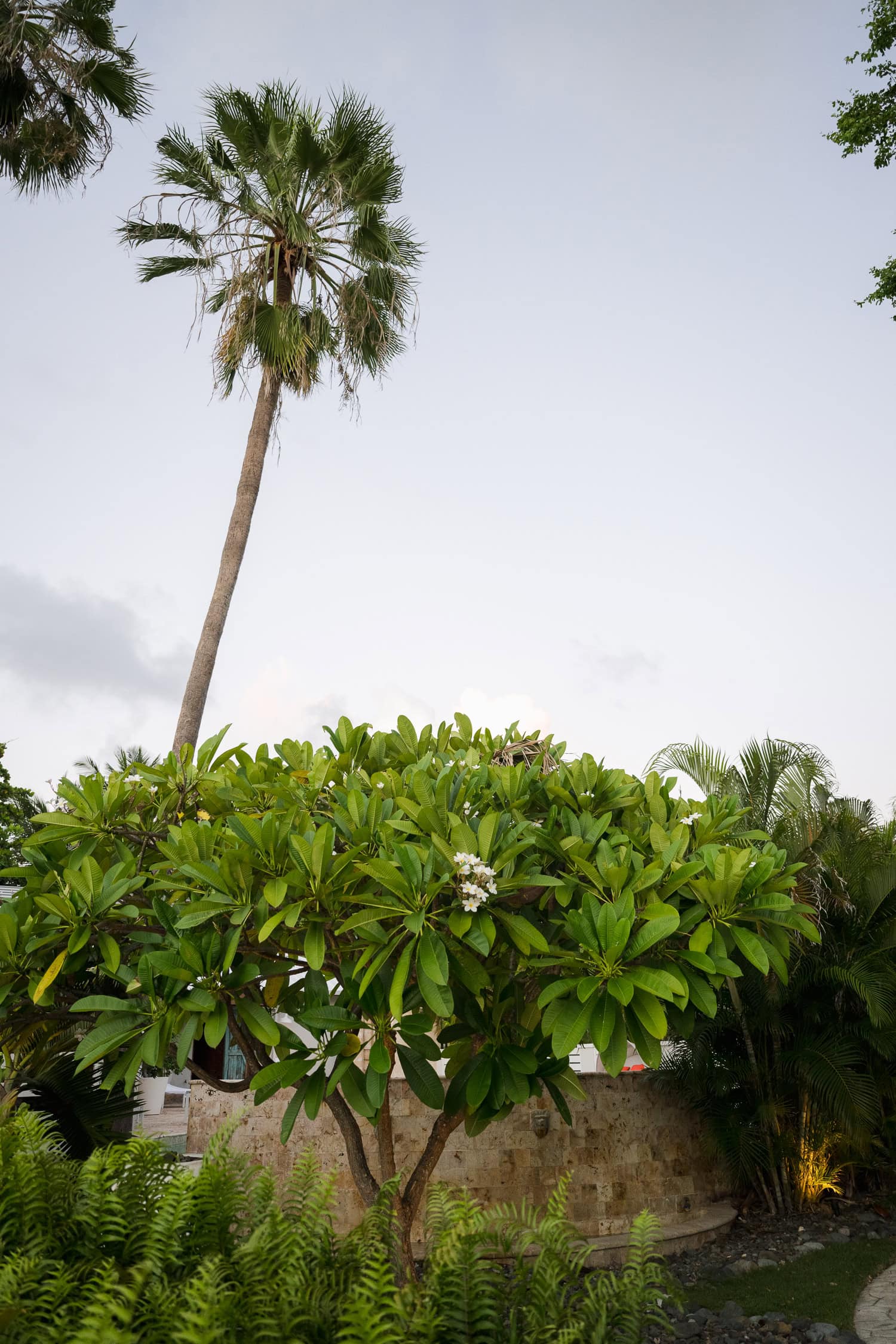 sunset elopement at villa montana beach resort in isabela, puerto rico