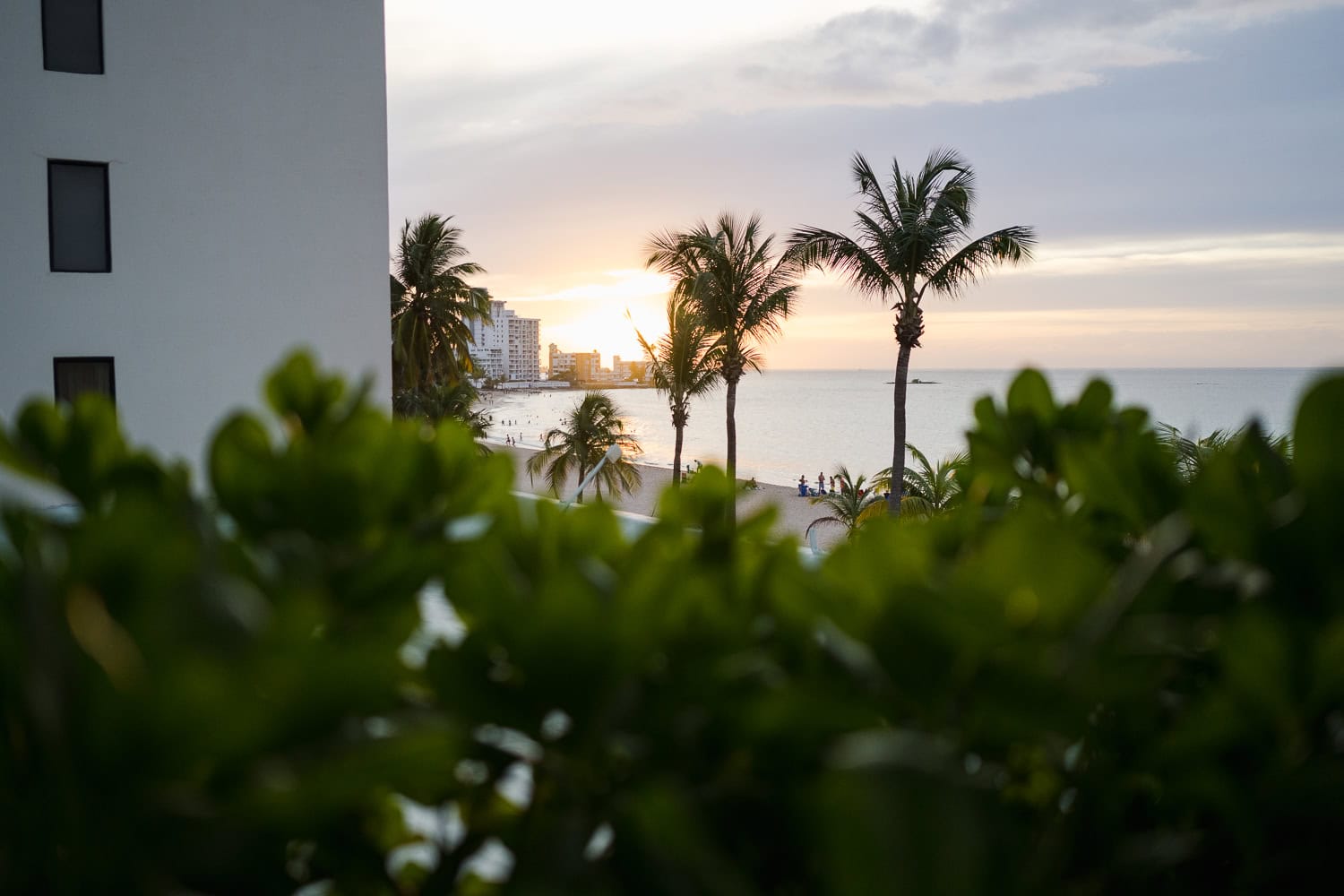 Beachfront wedding ceremony setup with a floral arch and palm trees at Courtyard Marriott Isla Verde, Puerto Rico.