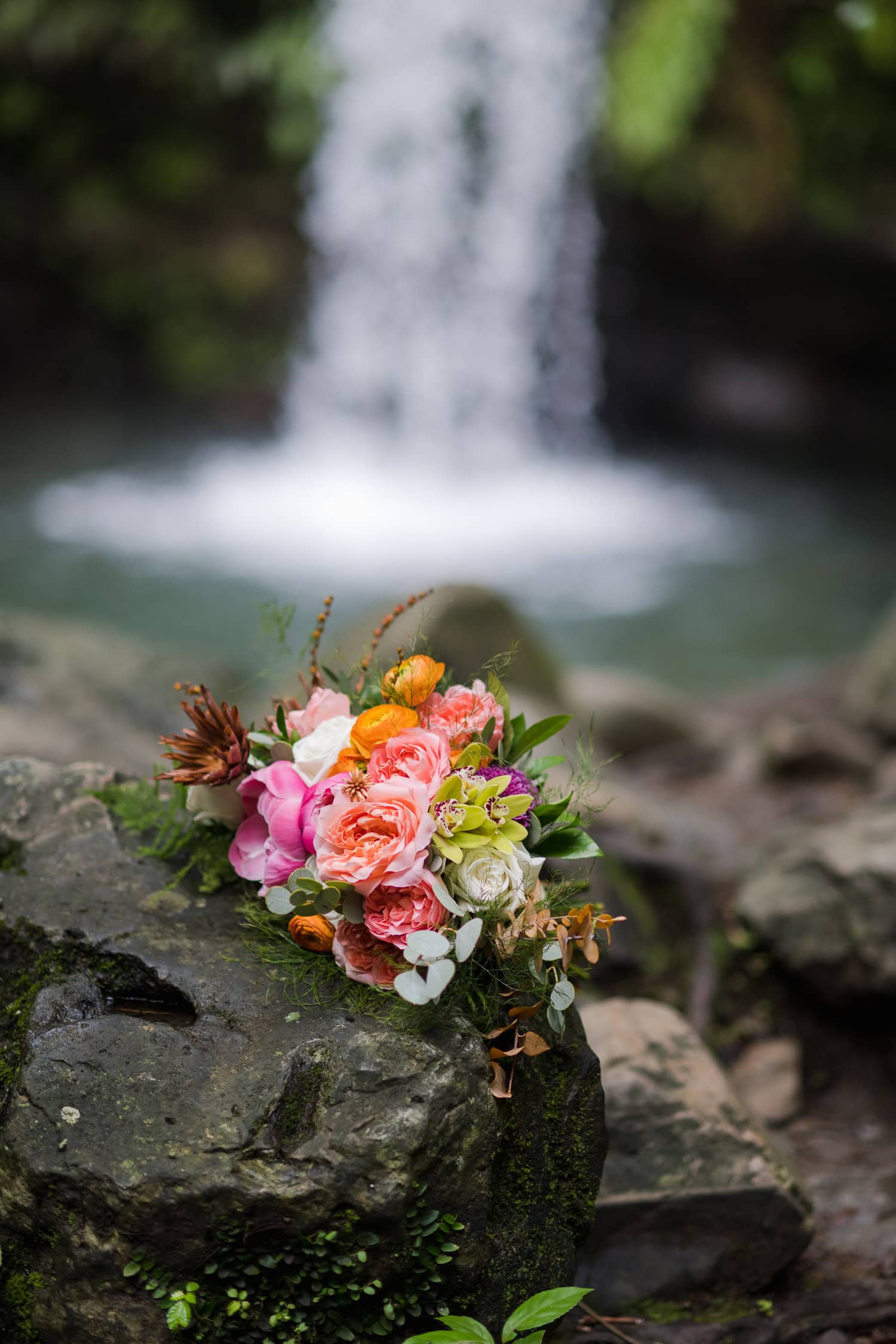 Couple exchanging vows at Juan Diego Falls, El Yunque National Forest