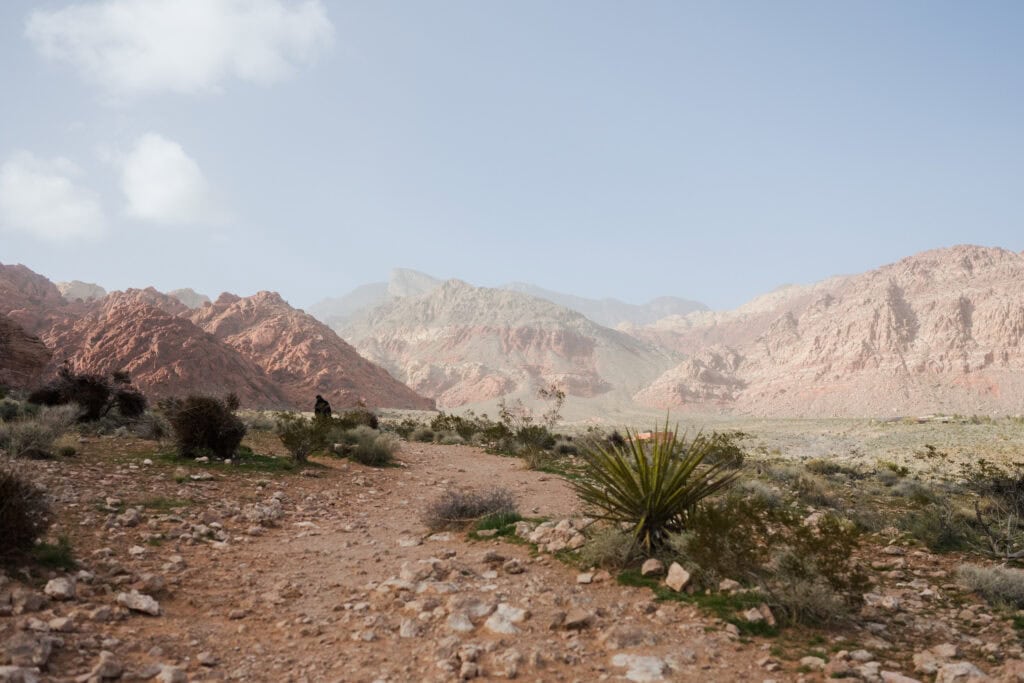 red-rock-canyon-las-vegas-photography-wppi-photowalk00001