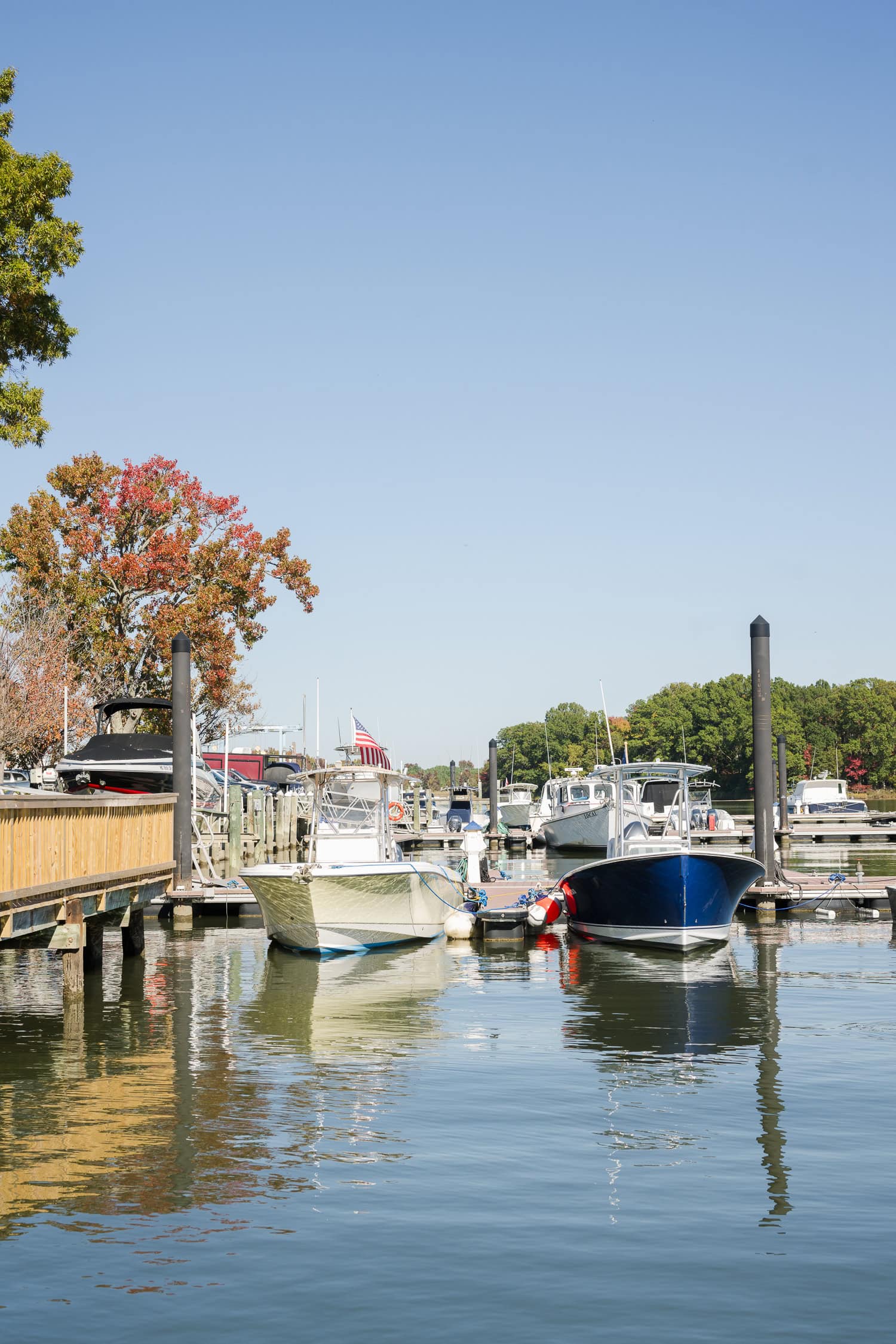 silver swan bayside wedding photography in stevensville maryland