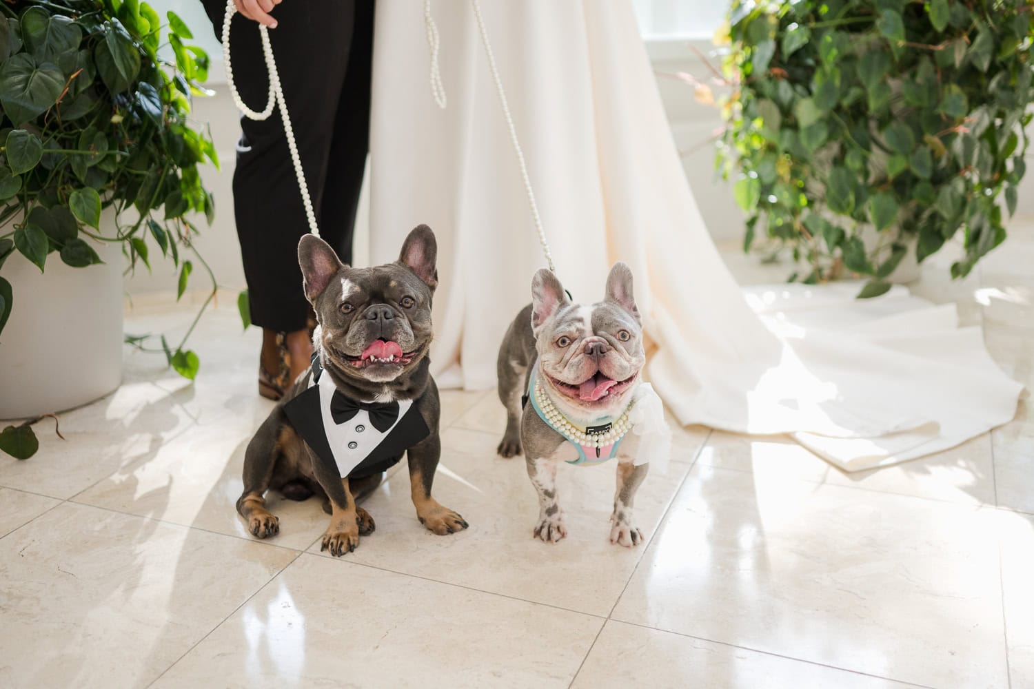 fotografia de bodas del mismo sexo en condado vanderbilt hotel puerto rico