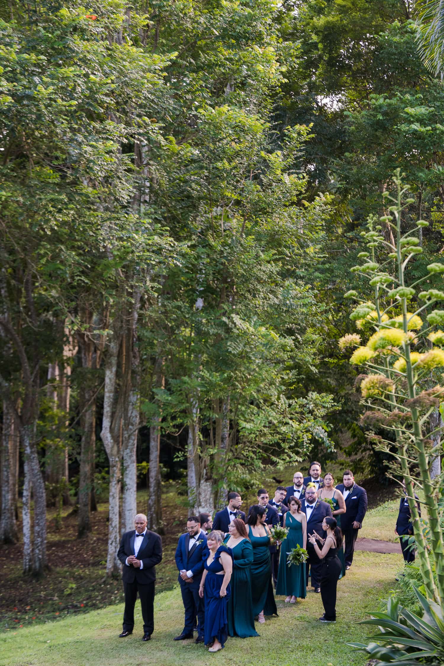 fotografia de bodas en Hacienda Munoz en San Lorenzo, Puerto Rico