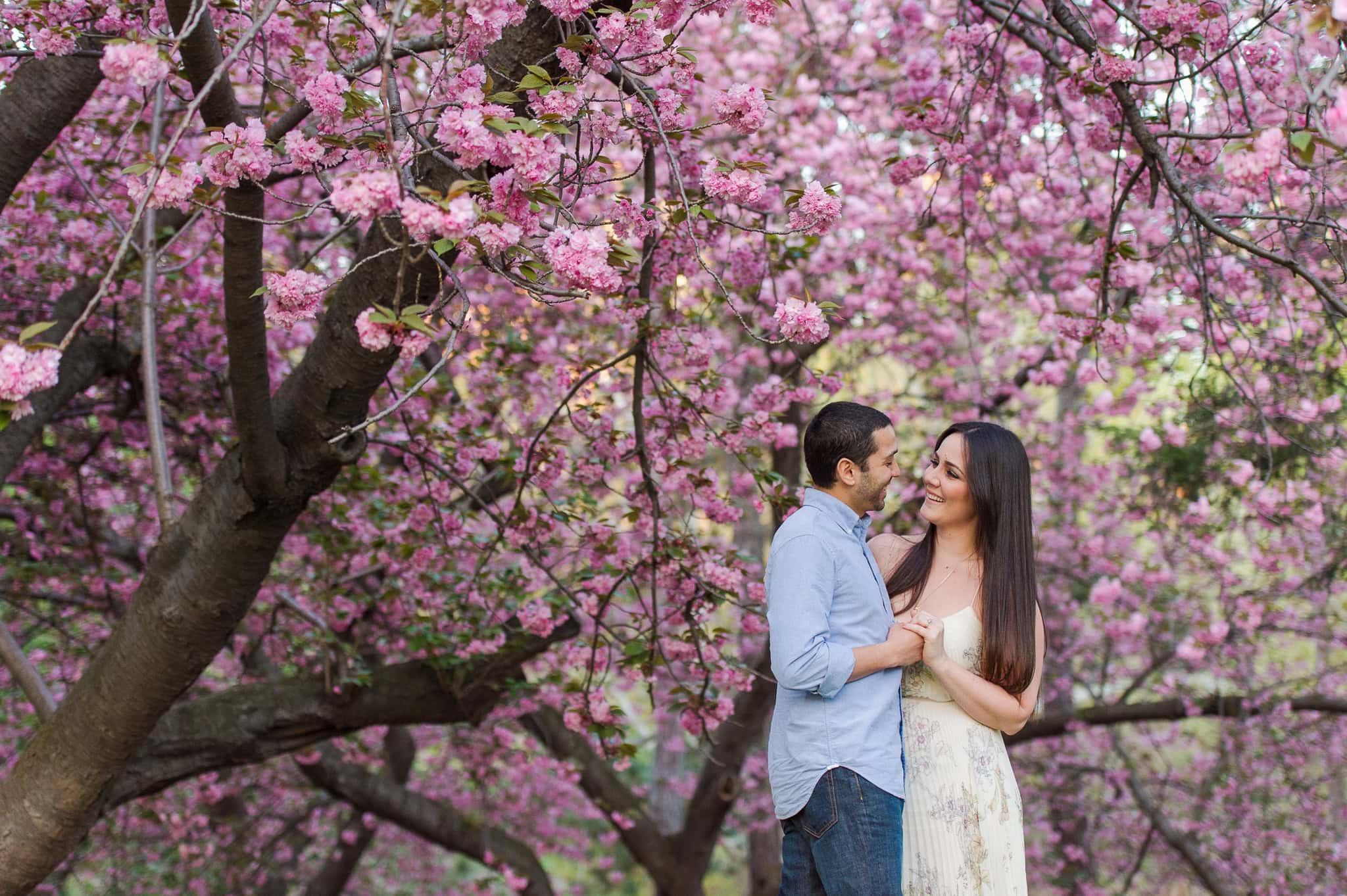 Cherry Blossom Springtime Central Park Engagement Photos wedding photographer camille fontz captures cherry blossom engagement photos in central park, new york city