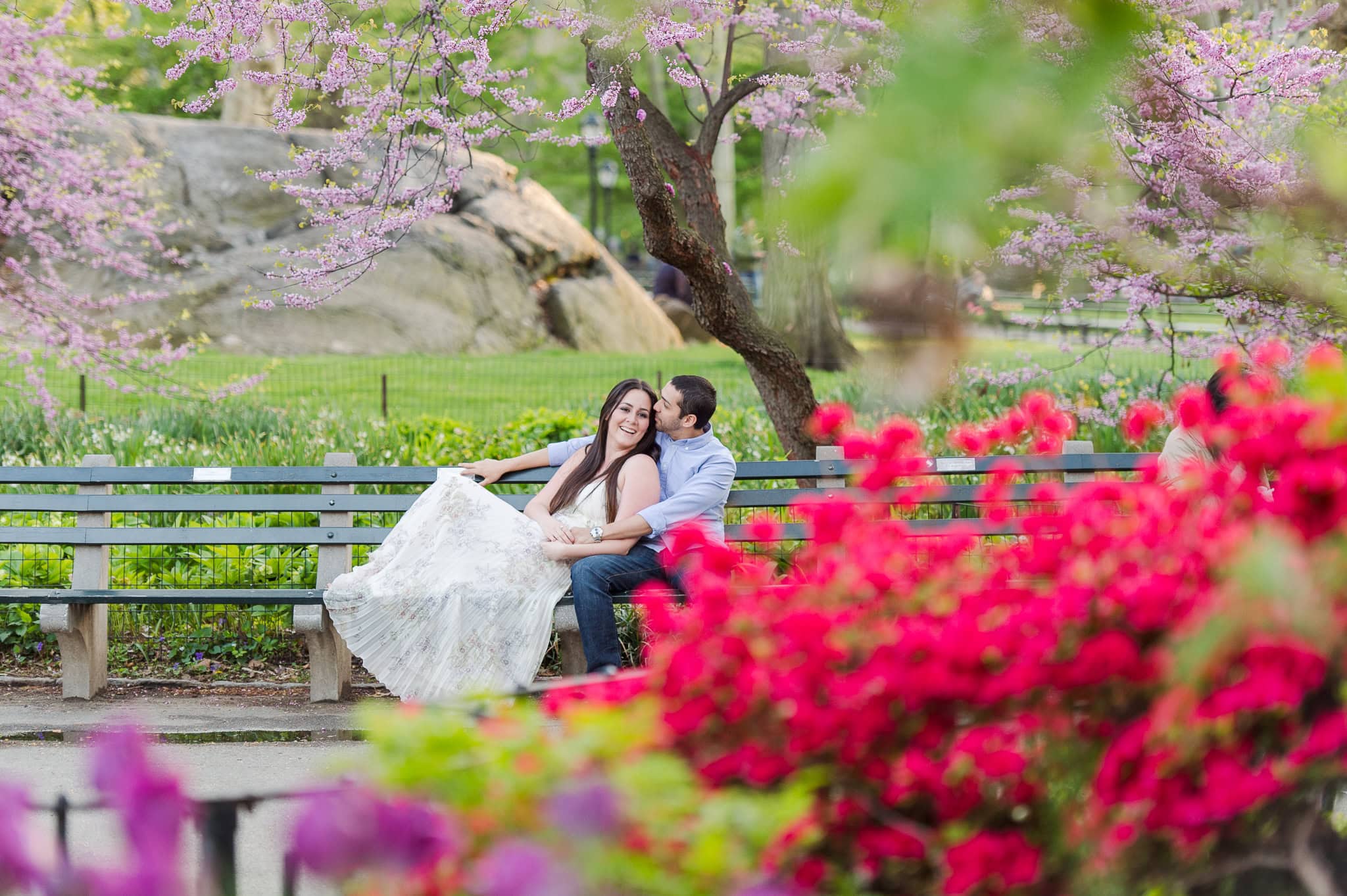 Cherry Blossom Springtime Central Park Engagement Photos wedding photographer camille fontz captures cherry blossom engagement photos in central park, new york city