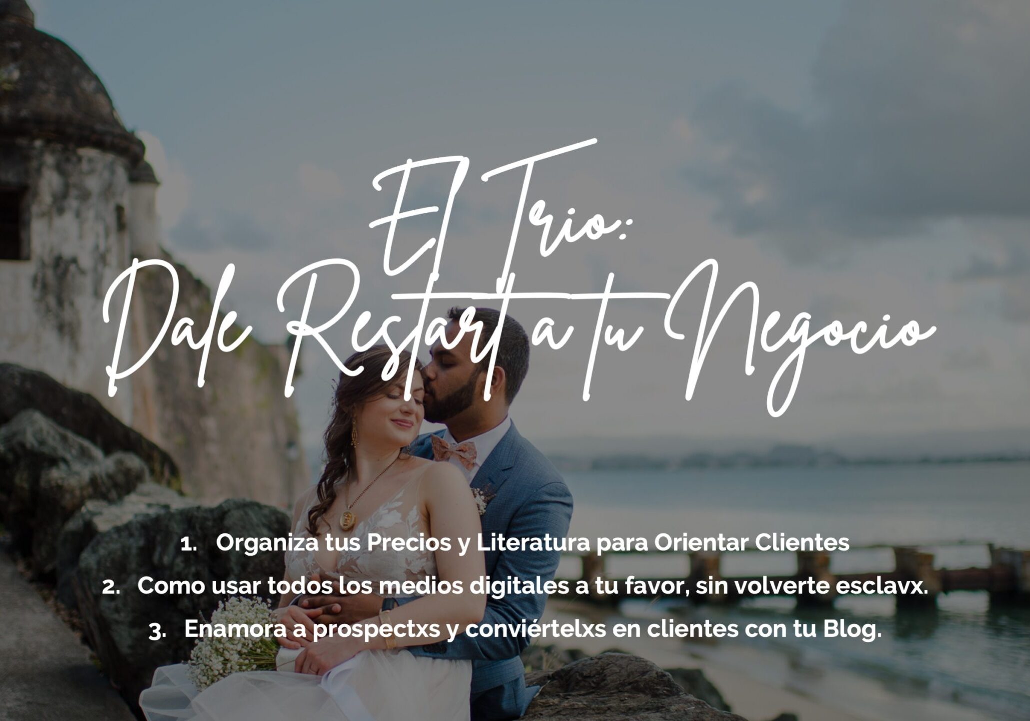 Curriculo de Cursos online para negocios digitales